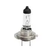 Sijalica H7, 12V 55W - PX26D Standard, DISPLAY 20