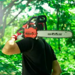 Picture for category Bašta