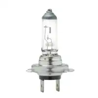 FUKUYAMA Sijalica H7 - 12V 55W - PX26D Standard,1